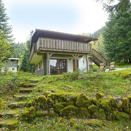 Le Schwarzwald - A Proximite Des Stations De Ski La Bresse Ngoại thất bức ảnh