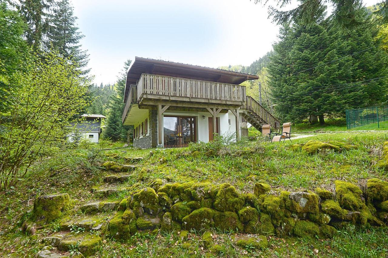 Le Schwarzwald - A Proximite Des Stations De Ski La Bresse Ngoại thất bức ảnh